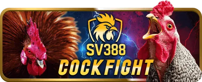Cá cược bóng đá EV99